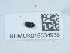 ( - NHMUK015534938)  @11 [ ] Unspecified (default): All Rights Reserved  Unspecified Unspecified