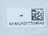  ( - NHMUK015534940)  @11 [ ] Unspecified (default): All Rights Reserved  Unspecified Unspecified
