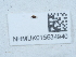  ( - NHMUK015534940)  @11 [ ] Unspecified (default): All Rights Reserved  Unspecified Unspecified