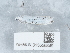  ( - NHMUK015556849)  @11 [ ] Unspecified (default): All Rights Reserved  Unspecified Unspecified