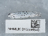  ( - NHMUK015556849)  @11 [ ] Unspecified (default): All Rights Reserved  Unspecified Unspecified