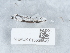  ( - NHMUK015556849)  @11 [ ] Unspecified (default): All Rights Reserved  Unspecified Unspecified