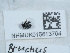  ( - NHMUK015613704)  @11 [ ] Unspecified (default): All Rights Reserved  Unspecified Unspecified