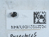  ( - NHMUK015613704)  @11 [ ] Unspecified (default): All Rights Reserved  Unspecified Unspecified