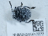  ( - NHMUK015613877)  @11 [ ] Unspecified (default): All Rights Reserved  Unspecified Unspecified