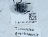  ( - NHMUK015613877)  @11 [ ] Unspecified (default): All Rights Reserved  Unspecified Unspecified