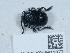  ( - NHMUK015613877)  @11 [ ] Unspecified (default): All Rights Reserved  Unspecified Unspecified