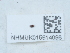  ( - NHMUK015614098)  @11 [ ] Unspecified (default): All Rights Reserved  Unspecified Unspecified