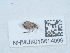  ( - NHMUK015614099)  @11 [ ] Unspecified (default): All Rights Reserved  Unspecified Unspecified