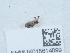  ( - NHMUK015614099)  @11 [ ] Unspecified (default): All Rights Reserved  Unspecified Unspecified