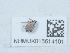  ( - NHMUK015614101)  @11 [ ] Unspecified (default): All Rights Reserved  Unspecified Unspecified