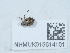  ( - NHMUK015614101)  @11 [ ] Unspecified (default): All Rights Reserved  Unspecified Unspecified