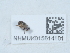  ( - NHMUK015614101)  @11 [ ] Unspecified (default): All Rights Reserved  Unspecified Unspecified