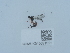  ( - NHMUK015621521)  @11 [ ] Unspecified (default): All Rights Reserved  Unspecified Unspecified