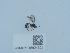 ( - NHMUK015621521)  @11 [ ] Unspecified (default): All Rights Reserved  Unspecified Unspecified