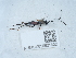  ( - NHMUK015621522)  @11 [ ] Unspecified (default): All Rights Reserved  Unspecified Unspecified