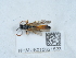  ( - NHMUK015621523)  @11 [ ] Unspecified (default): All Rights Reserved  Unspecified Unspecified