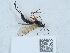  ( - NHMUK015621526)  @11 [ ] Unspecified (default): All Rights Reserved  Unspecified Unspecified