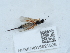  ( - NHMUK015621526)  @11 [ ] Unspecified (default): All Rights Reserved  Unspecified Unspecified