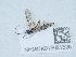  ( - NHMUK015621528)  @11 [ ] Unspecified (default): All Rights Reserved  Unspecified Unspecified