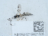  ( - NHMUK015621528)  @11 [ ] Unspecified (default): All Rights Reserved  Unspecified Unspecified