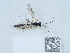  ( - NHMUK015621528)  @11 [ ] Unspecified (default): All Rights Reserved  Unspecified Unspecified
