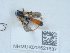  ( - NHMUK015621537)  @11 [ ] Unspecified (default): All Rights Reserved  Unspecified Unspecified