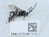 ( - NHMUK015621545)  @11 [ ] Unspecified (default): All Rights Reserved  Unspecified Unspecified