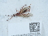  ( - NHMUK015621555)  @11 [ ] Unspecified (default): All Rights Reserved  Unspecified Unspecified