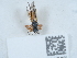  ( - NHMUK015621567)  @11 [ ] Unspecified (default): All Rights Reserved  Unspecified Unspecified