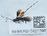  ( - NHMUK015621580)  @11 [ ] Unspecified (default): All Rights Reserved  Unspecified Unspecified