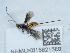  ( - NHMUK015621580)  @11 [ ] Unspecified (default): All Rights Reserved  Unspecified Unspecified