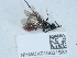  ( - NHMUK015621583)  @11 [ ] Unspecified (default): All Rights Reserved  Unspecified Unspecified