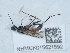  ( - NHMUK015621592)  @11 [ ] Unspecified (default): All Rights Reserved  Unspecified Unspecified