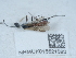  ( - NHMUK015621592)  @11 [ ] Unspecified (default): All Rights Reserved  Unspecified Unspecified