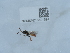  ( - NHMUK015621594)  @11 [ ] Unspecified (default): All Rights Reserved  Unspecified Unspecified