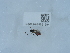  ( - NHMUK015621594)  @11 [ ] Unspecified (default): All Rights Reserved  Unspecified Unspecified
