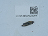  ( - NHMUK015622400)  @11 [ ] Unspecified (default): All Rights Reserved  Unspecified Unspecified