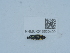  ( - NHMUK015622400)  @11 [ ] Unspecified (default): All Rights Reserved  Unspecified Unspecified