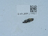 ( - NHMUK015622400)  @11 [ ] Unspecified (default): All Rights Reserved  Unspecified Unspecified
