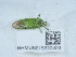  ( - NHMUK015622403)  @11 [ ] Unspecified (default): All Rights Reserved  Unspecified Unspecified