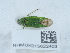  ( - NHMUK015622403)  @11 [ ] Unspecified (default): All Rights Reserved  Unspecified Unspecified