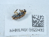  ( - NHMUK015622432)  @11 [ ] Unspecified (default): All Rights Reserved  Unspecified Unspecified