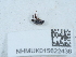  ( - NHMUK015622436)  @11 [ ] Unspecified (default): All Rights Reserved  Unspecified Unspecified