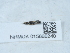  ( - NHMUK015666240)  @11 [ ] Unspecified (default): All Rights Reserved  Unspecified Unspecified