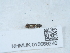  ( - NHMUK015666240)  @11 [ ] Unspecified (default): All Rights Reserved  Unspecified Unspecified