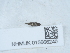  ( - NHMUK015666240)  @11 [ ] Unspecified (default): All Rights Reserved  Unspecified Unspecified