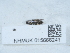  ( - NHMUK015666241)  @11 [ ] Unspecified (default): All Rights Reserved  Unspecified Unspecified