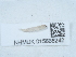  ( - NHMUK015666242)  @11 [ ] Unspecified (default): All Rights Reserved  Unspecified Unspecified