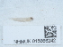  ( - NHMUK015666242)  @11 [ ] Unspecified (default): All Rights Reserved  Unspecified Unspecified